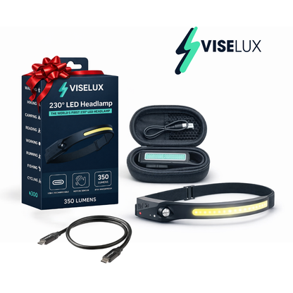 VISELUX Dual Motion Light